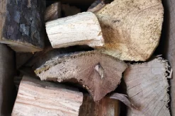 Yakiniku Räucherchunks Ahorn 500 G -Küchengrill 100312 8720364491284 Maple