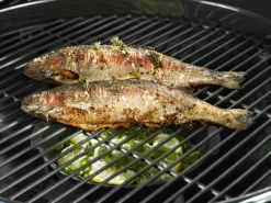 Outdoorchef Aroma Pfanne -Küchengrill 18 211 71 AROMA PFANNE 03