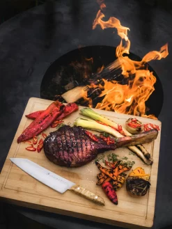 F. DICK Kochmesser VIVUM 21 Cm -Küchengrill 4009215188929 DICK VIVUM KOCHMESSER 83647212H 04