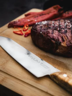 F. DICK Kochmesser VIVUM 21 Cm -Küchengrill 4009215188929 DICK VIVUM KOCHMESSER 83647212H 05