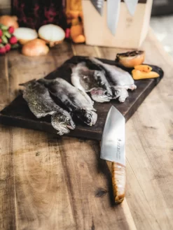 F. DICK Kochmesser VIVUM 21 Cm -Küchengrill 4009215188929 DICK VIVUM KOCHMESSER 83647212H 08