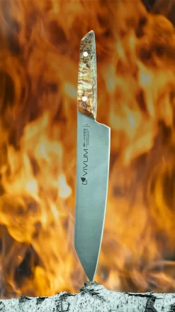 F. DICK Kochmesser VIVUM 21 Cm -Küchengrill 4009215188929 DICK VIVUM KOCHMESSER 83647212H 10