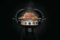 NAPOLEON Holzkohlering & Diffusor-Platte (67745) -Küchengrill 67745 Charcoal Diffuser Ring InUse