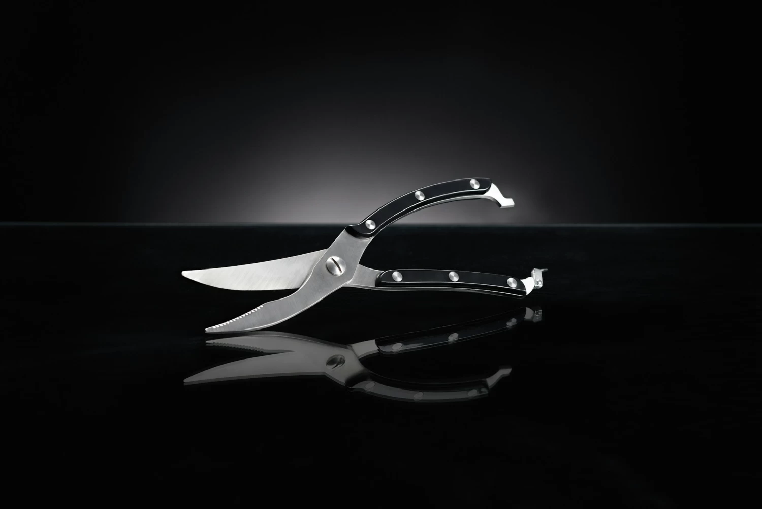 NAPOLEON Geflügelschere Edelstahl (55077) 3 NAPOLEON Geflügelschere Edelstahl (55077) – Bild 3