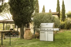 NAPOLEON LEX 605 Gasgrill Edelstahl -Küchengrill NAPOLEON LEX 605 Edelstahl 9