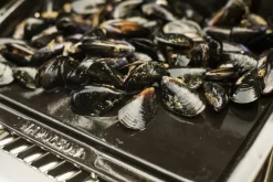 NAPOLEON Gusseiserne Grillplatte Plancha (56090) -Küchengrill NAPOLEON Plancha Porzellan Emailliert 5