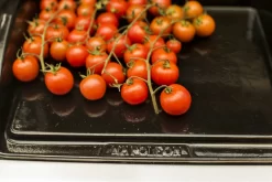 NAPOLEON Gusseiserne Grillplatte Plancha (56090) -Küchengrill NAPOLEON Plancha Porzellan Emailliert 6