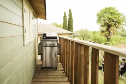 NAPOLEON Triumph 325 Schwarz -Küchengrill NAPOLEON Triumph 325 Schwarz 3