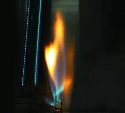 NAPOLEON LEX 605 Gasgrill Edelstahl -Küchengrill NAPOLEON Triumph 410 Schwarz 4