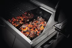 NAPOLEON Charcoal Professional, Edelstahl -Küchengrill PRO605 charcoal inuse