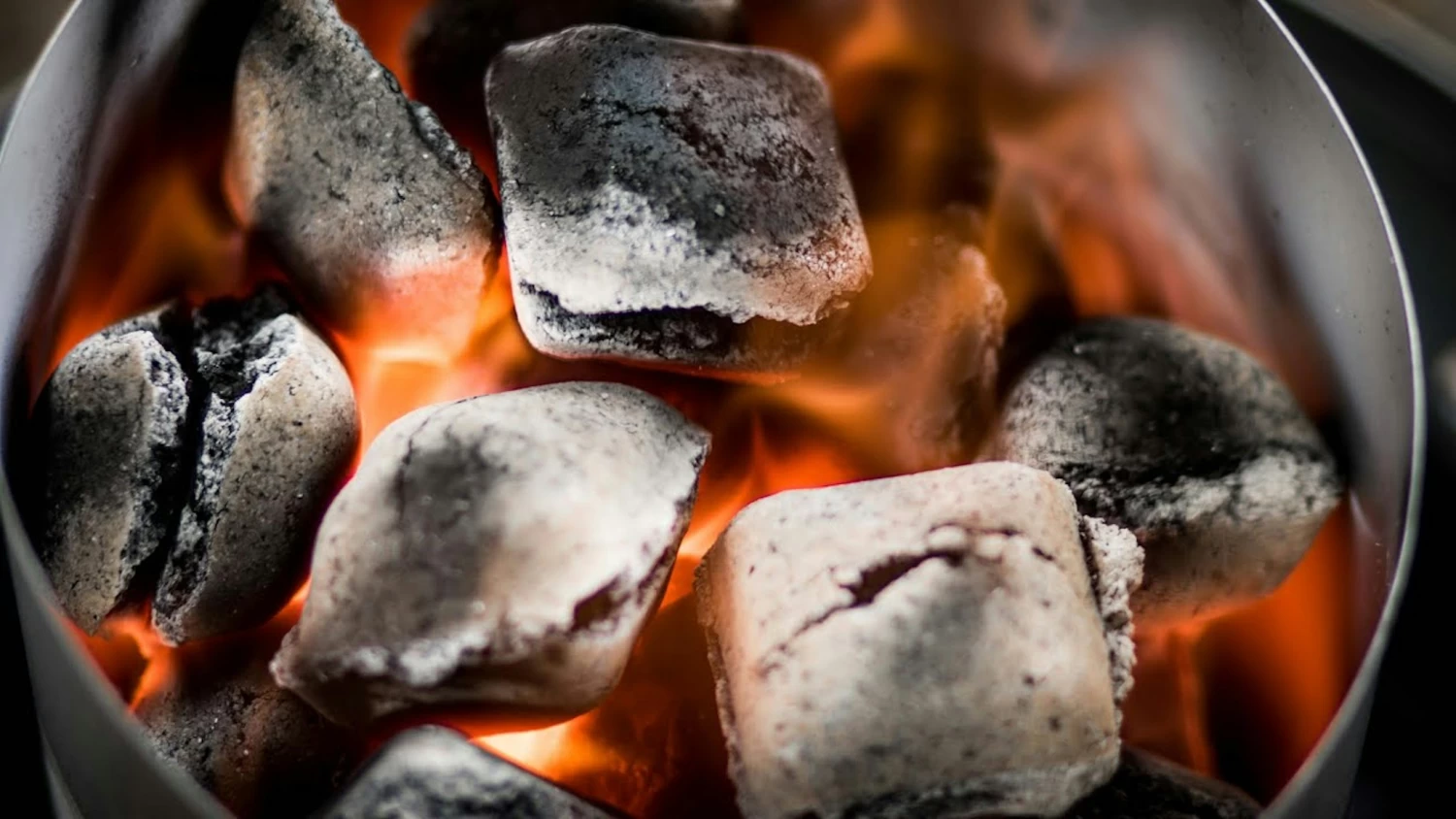 McBrikett KOKOKO EGGS 10kg 5 McBrikett KOKOKO EGGS 10kg – Bild 5