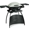 Weber Q 2000 Gasgrill Stand Titan