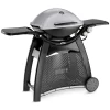 Weber Q 3000 Station Gasgrill Granit Grau