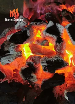 Big Green Egg Woody Holzkohle Aus Buchenholz 10 Kg -Küchengrill bge 0724943369085 Buchenholzkohle 2048x2048