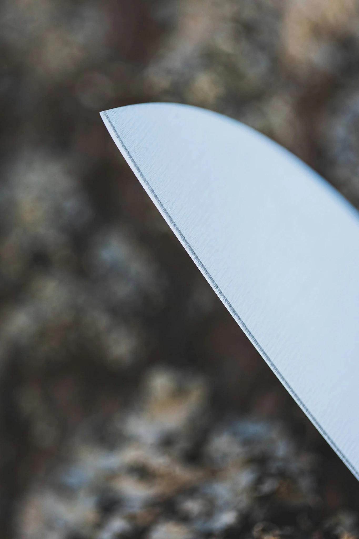 Grills.de Santokumesser Mit Olivenholzgriff 16cm 3 Grills.de Santokumesser Mit Olivenholzgriff 16cm – Bild 3