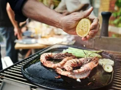 Weber Keramische Grillplatte (ab 57 Cm) (17509) -Küchengrill platte 3 jpg