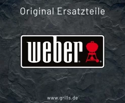 Weber Warmhalterost Genesis II 300 2017 (66044)